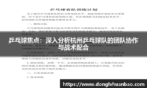 乒乓球焦点：深入分析杭州乒乓球队的团队协作与战术配合
