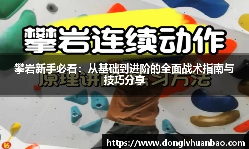 攀岩新手必看：从基础到进阶的全面战术指南与技巧分享