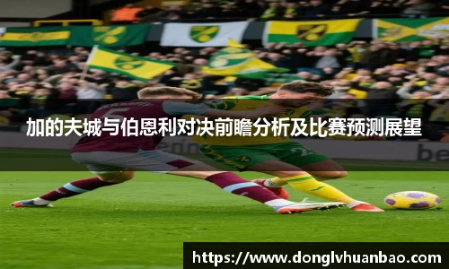 加的夫城与伯恩利对决前瞻分析及比赛预测展望
