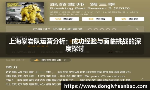 上海攀岩队运营分析：成功经验与面临挑战的深度探讨