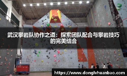武汉攀岩队协作之道：探索团队配合与攀岩技巧的完美结合
